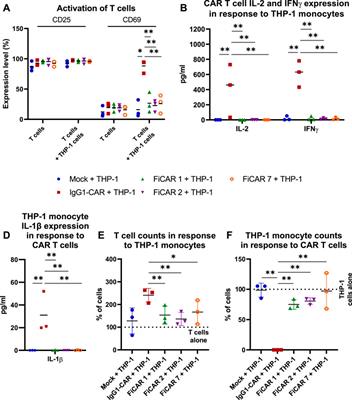 Novel modular chimeric antigen receptor spacer for T cells derived from signal regulatory protein alpha Ig-like domains